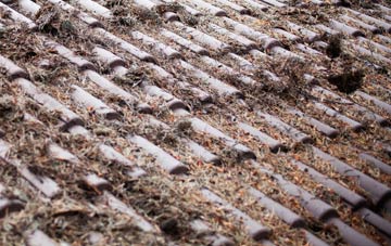 Linklet roof cleaning companies